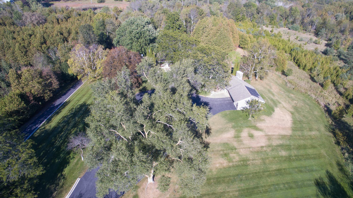 Birch Hill Media Group